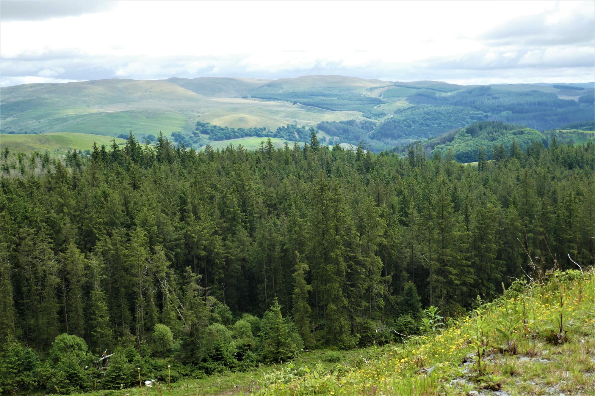 RachelSeabrook.net | Wild Walking | Devils-Bridge; pic57